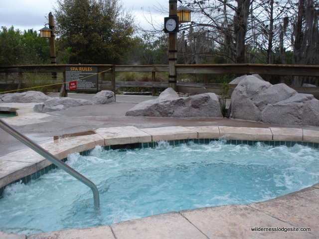 Spa Hot Tub
